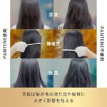 パンテーン トラベル サイズ