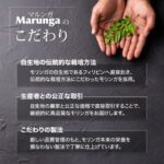 ボタニカル シャンプー 無 添加