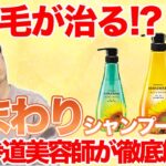 市販 シャンプー ひまわり
