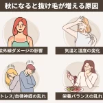 抜け毛 100 本