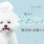 犬 用 シャンプー オーガニック