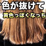 髪 が すぐ 抜ける
